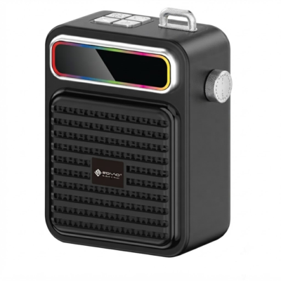 50 SBS-508 RAVE Wireless Speaker